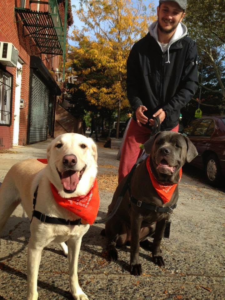 Brooklyn Bark - Photo 3