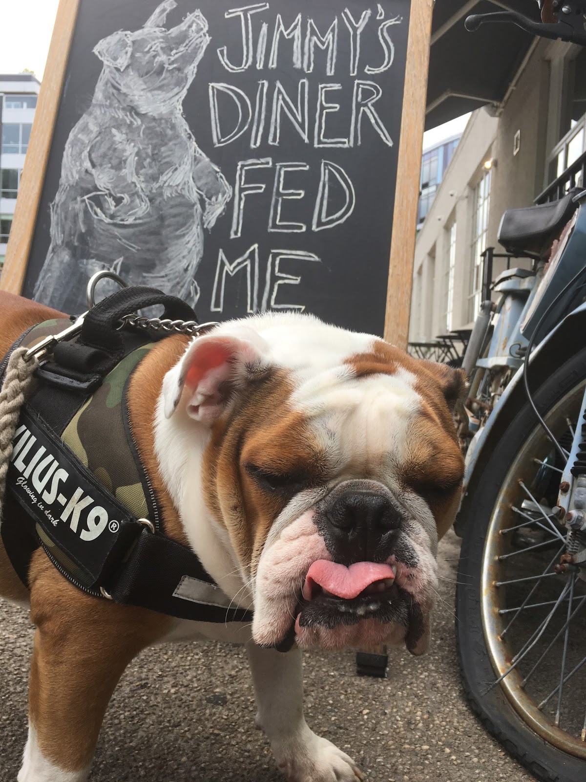 Brooklyn Bark - Photo 4