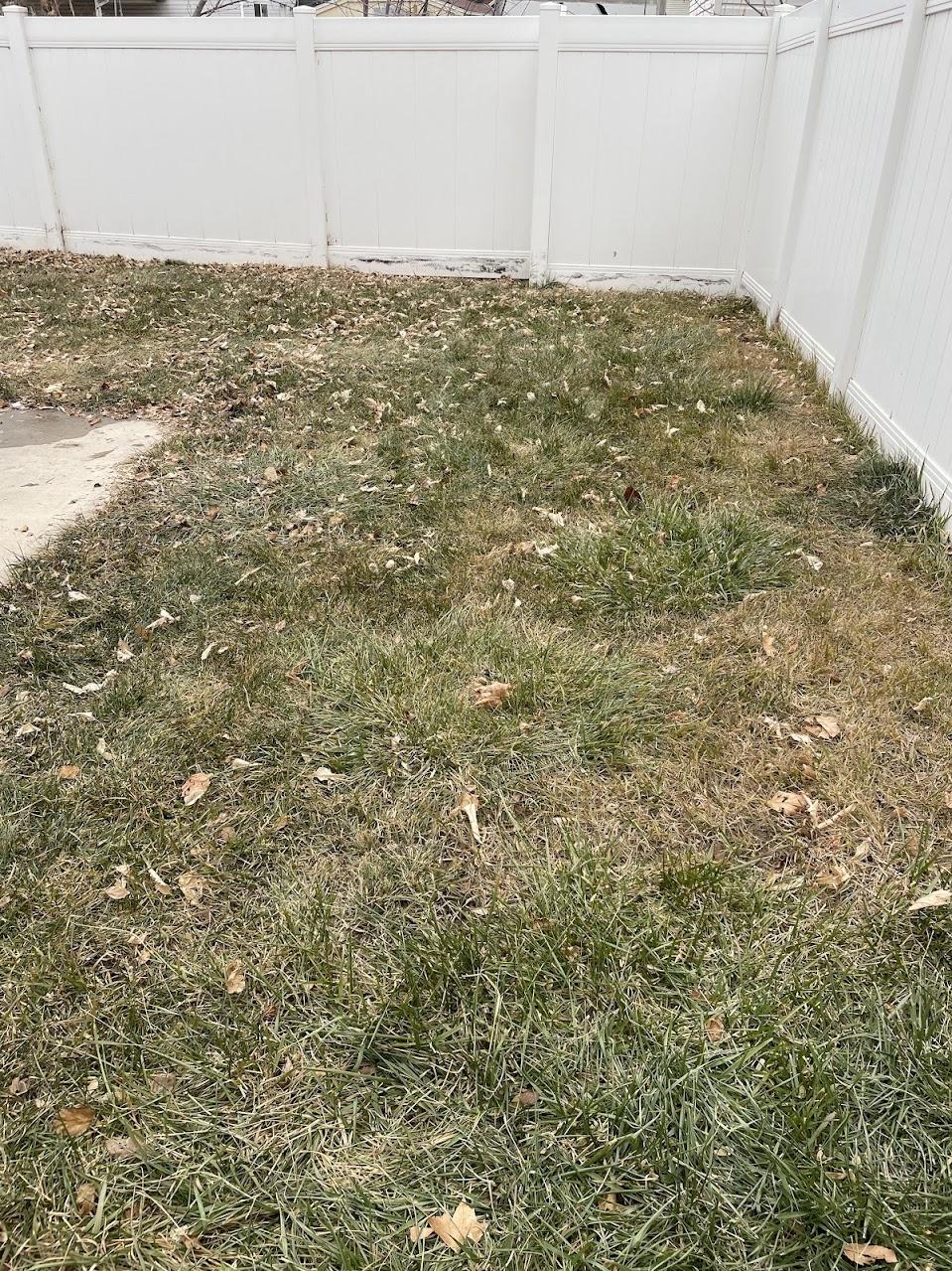 Yard Scooping Services