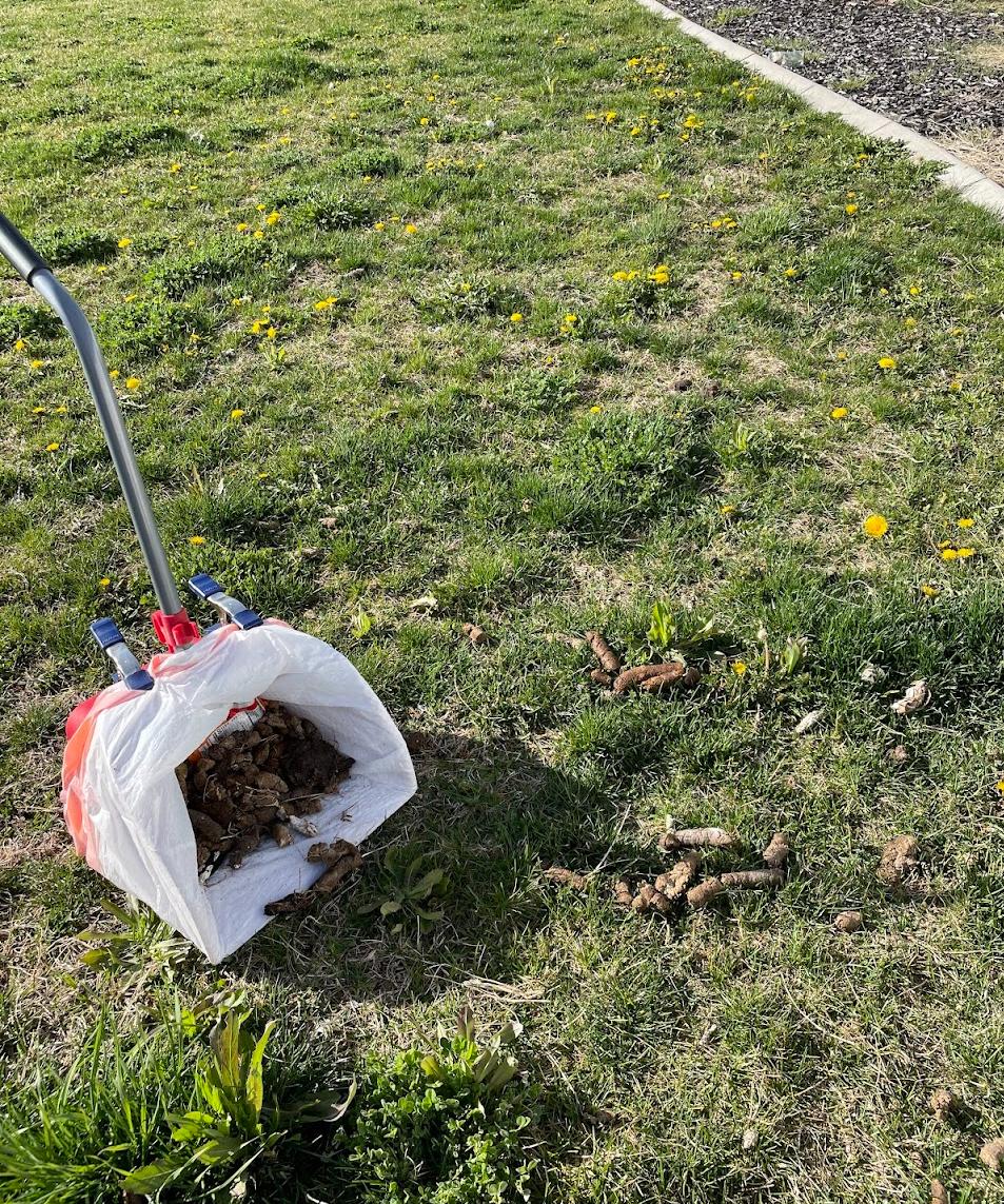 Yard Scooping Services - Photo 3