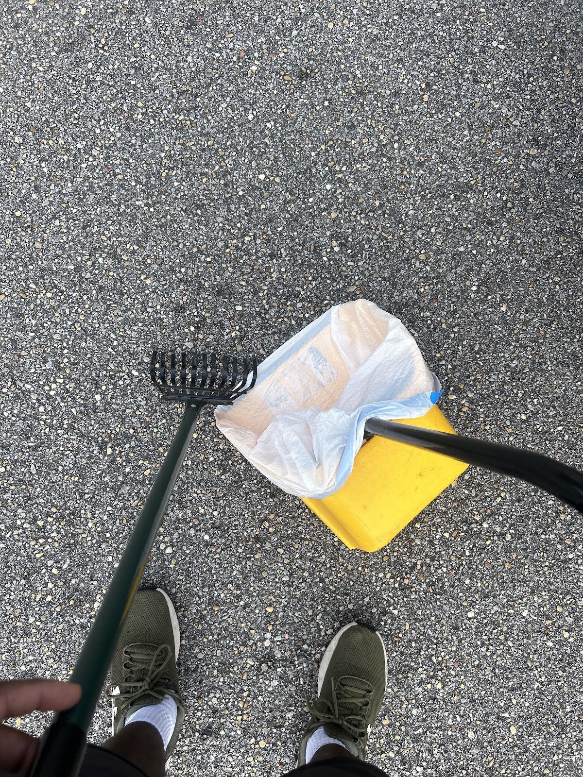 President Poop Scoop - Tuscaloosa Pet Waste Removal Service - Photo 4