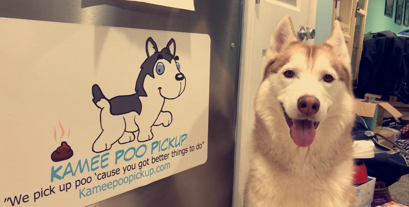 Kamee Poo Pickup PET WASTE REMOVAL