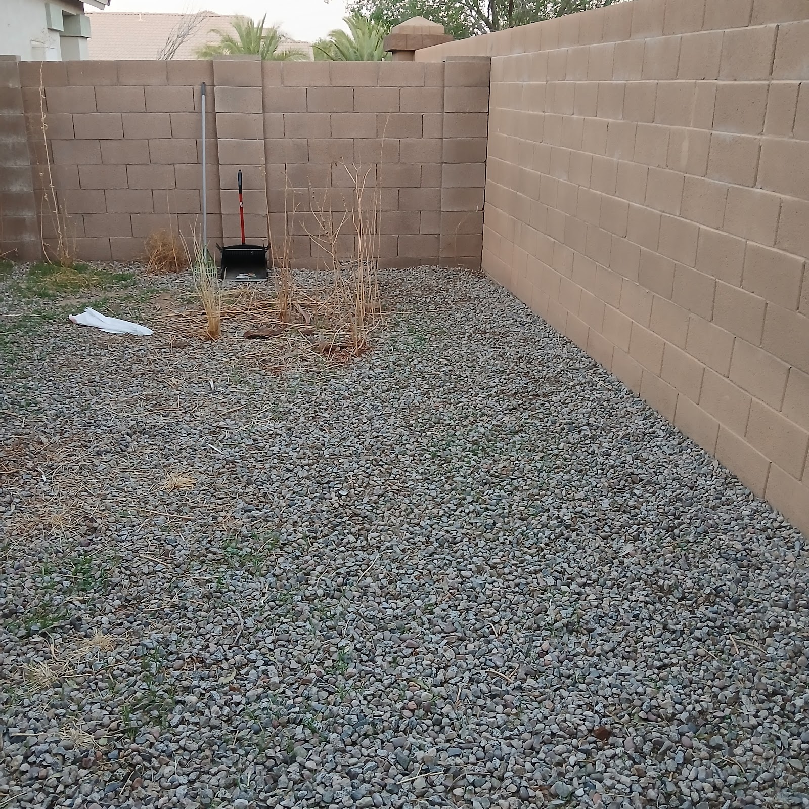 Scoop City Pet Waste Removal & Dog Walking - Photo 2