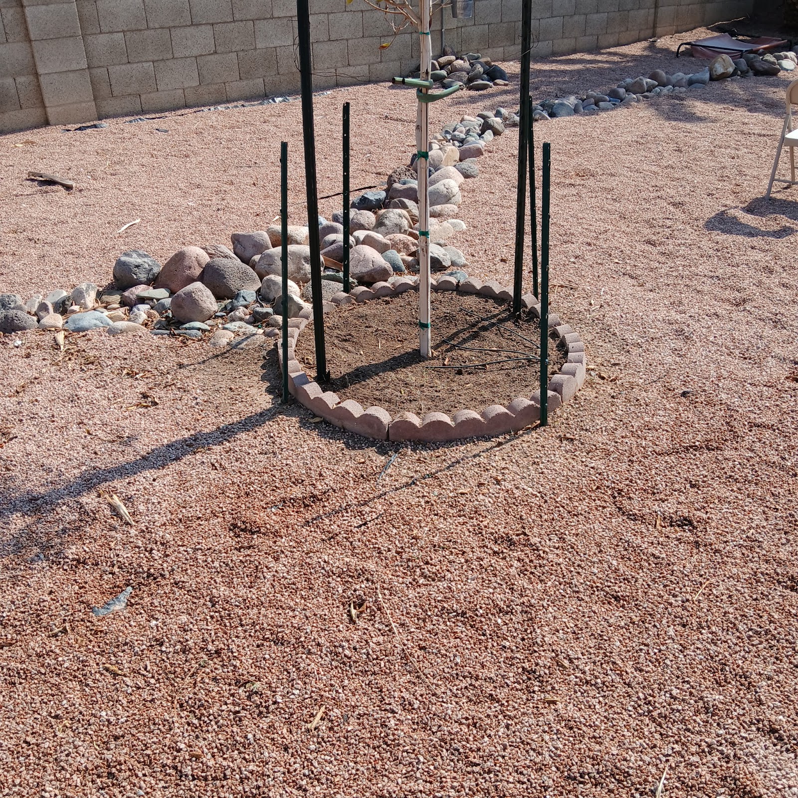 Scoop City Pet Waste Removal & Dog Walking - Photo 4