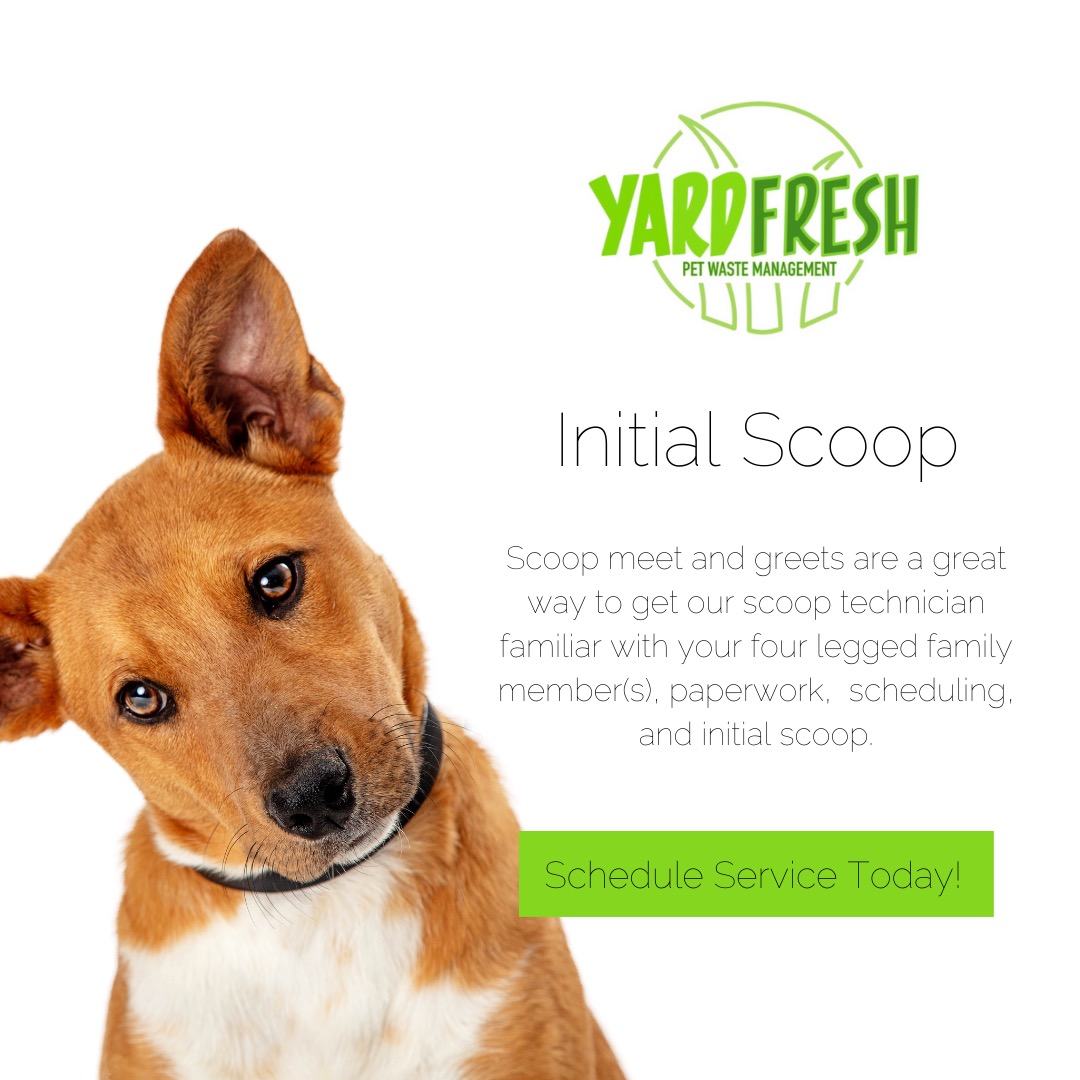 YardFresh Pet Waste Management - Photo 4