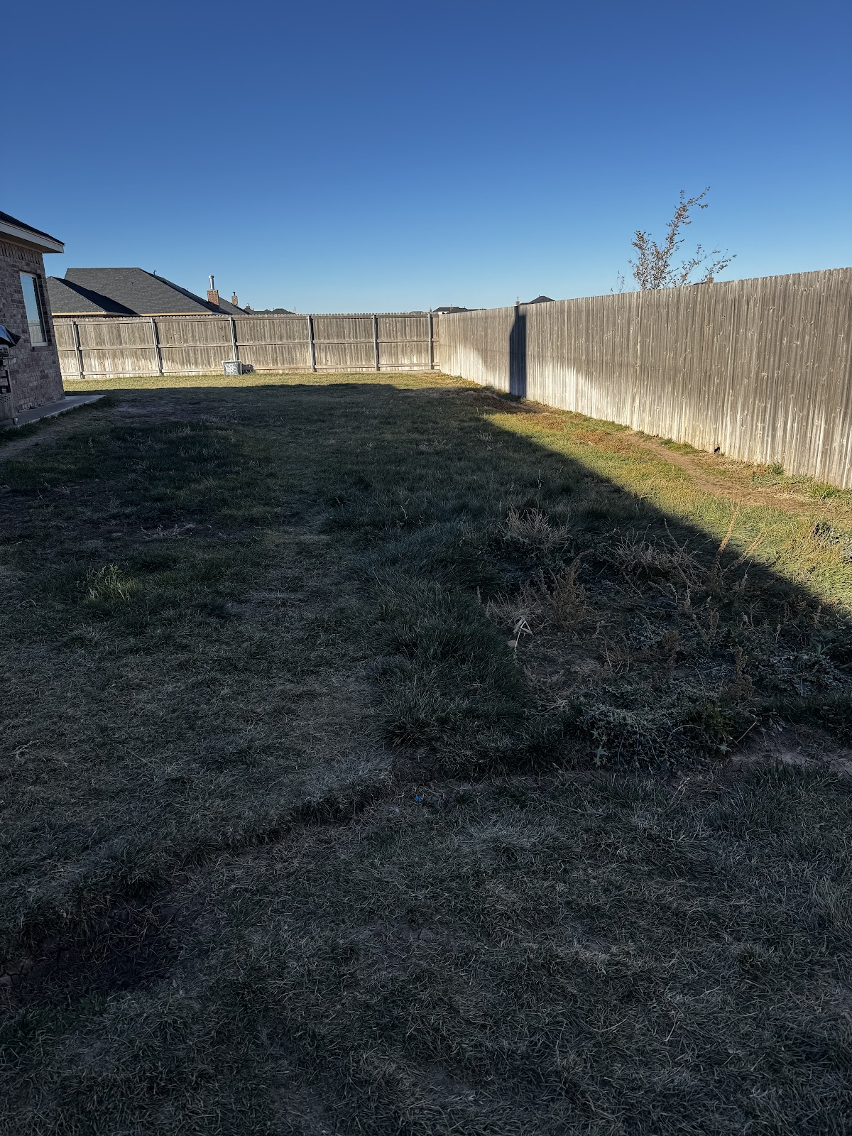 Skoop Squad - Photo 4