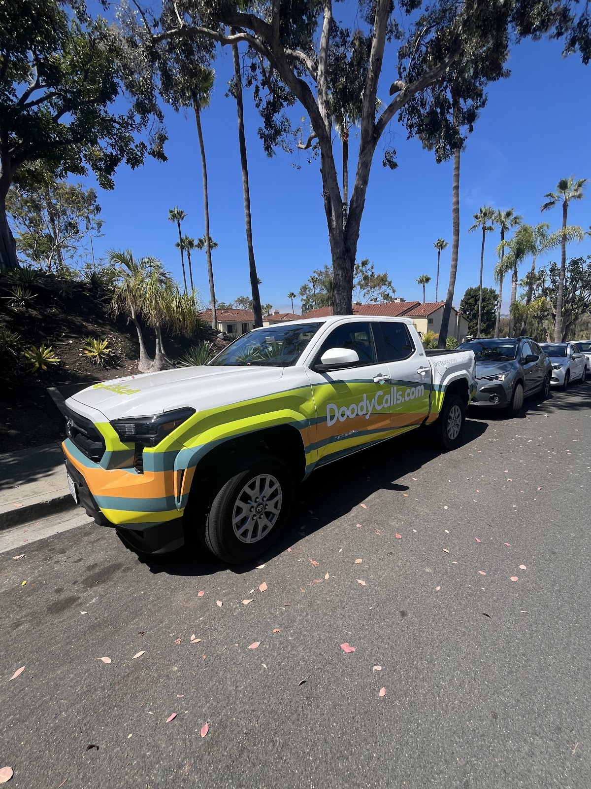 DoodyCalls of North Coast San Diego