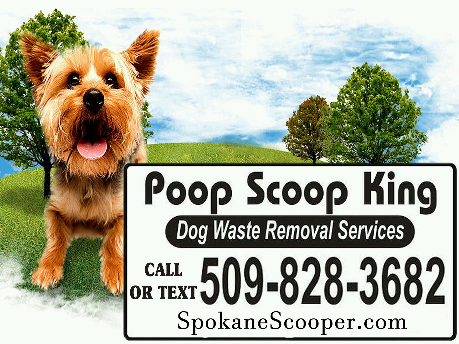 Poop Scoop King - Photo 3