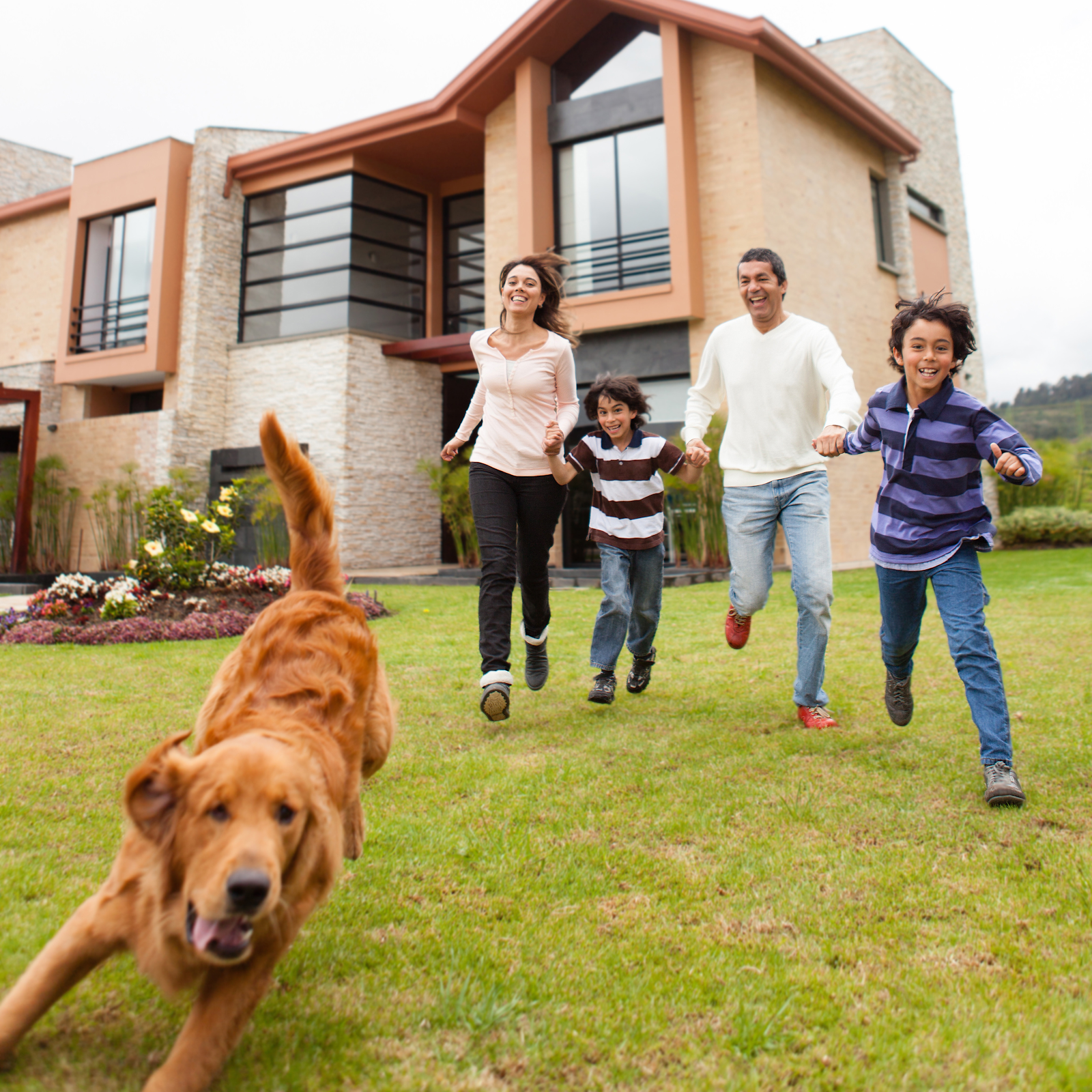 Lone Star Scoop - Photo 2