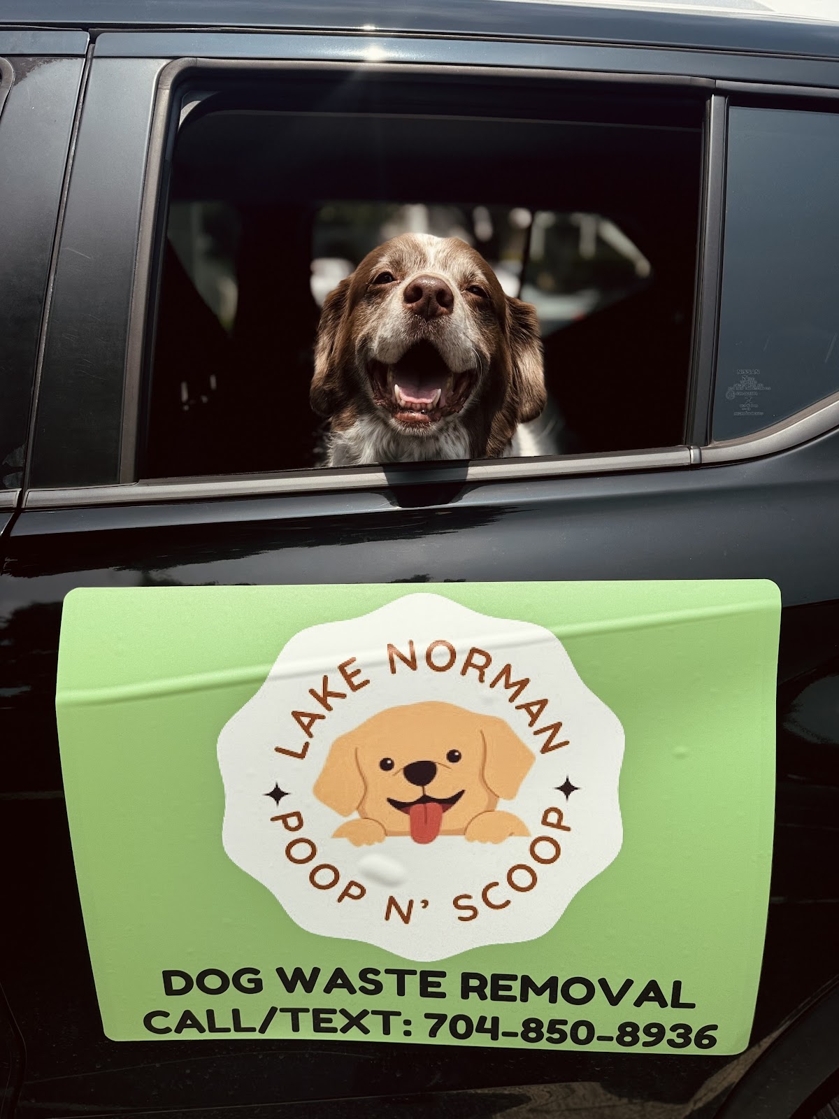 Lake Norman Poop N’ Scoop - Photo 2