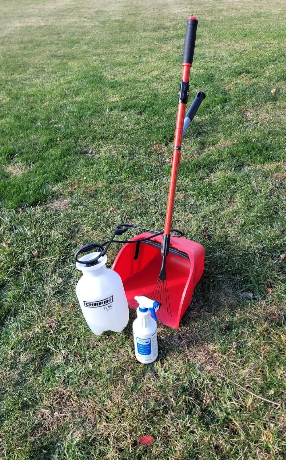 Pooch Dooty - Photo 2