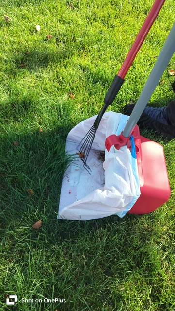 Poo Fessionals - Photo 2