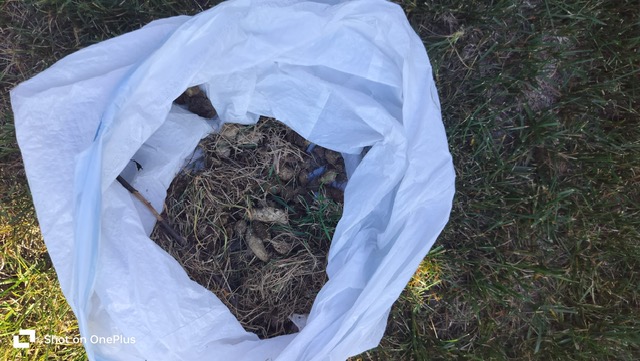 Poo Fessionals - Photo 3