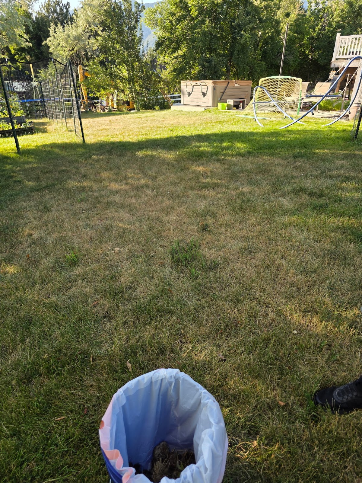 Pawsitive Utah - Photo 2