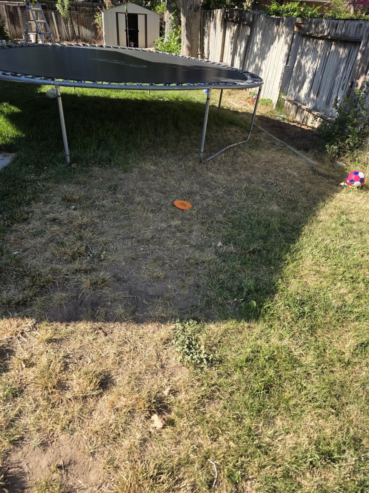 Pawsitive Utah - Photo 3