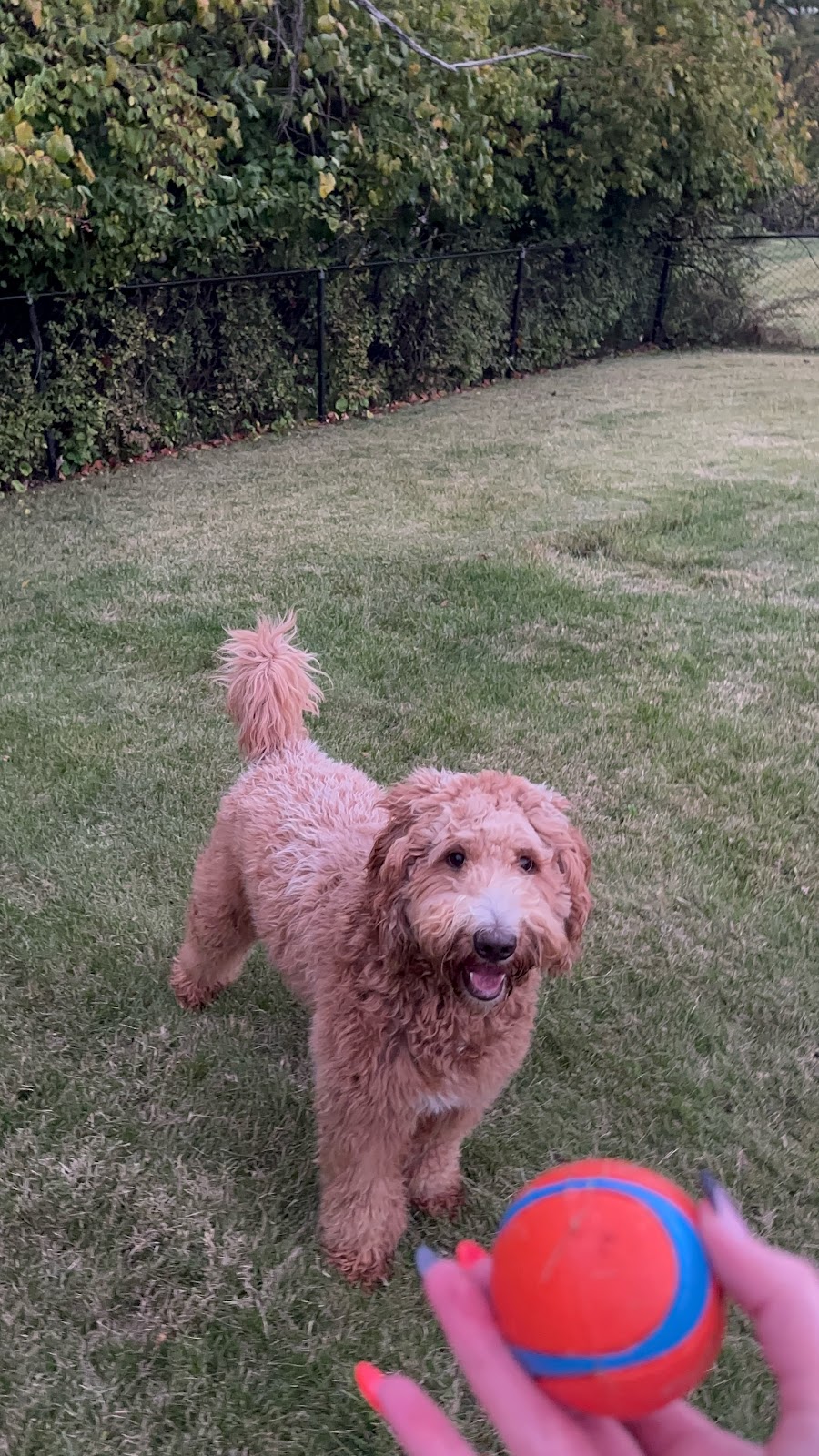 The PooP Crew - Photo 2