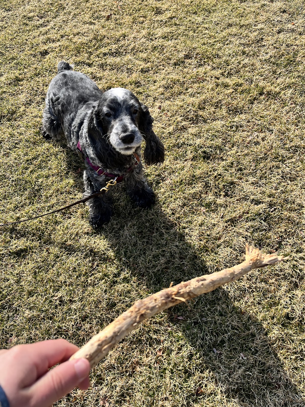 The PooP Crew - Photo 4