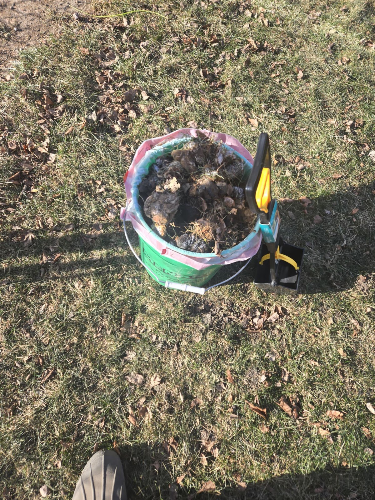 Turdminators Pet Waste Removal