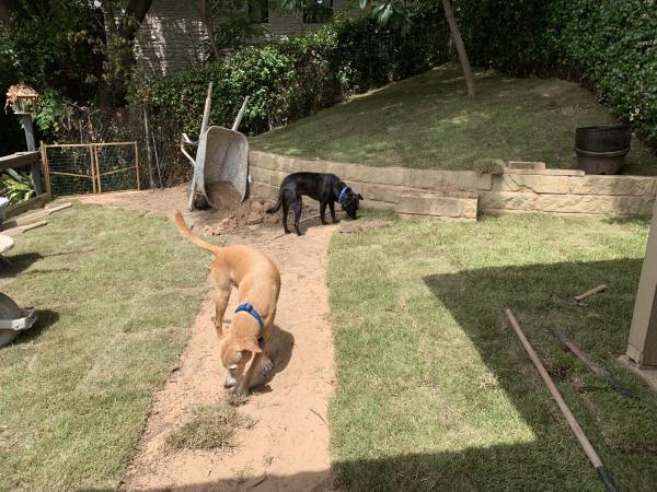 Turdminators Pet Waste Removal - Photo 3