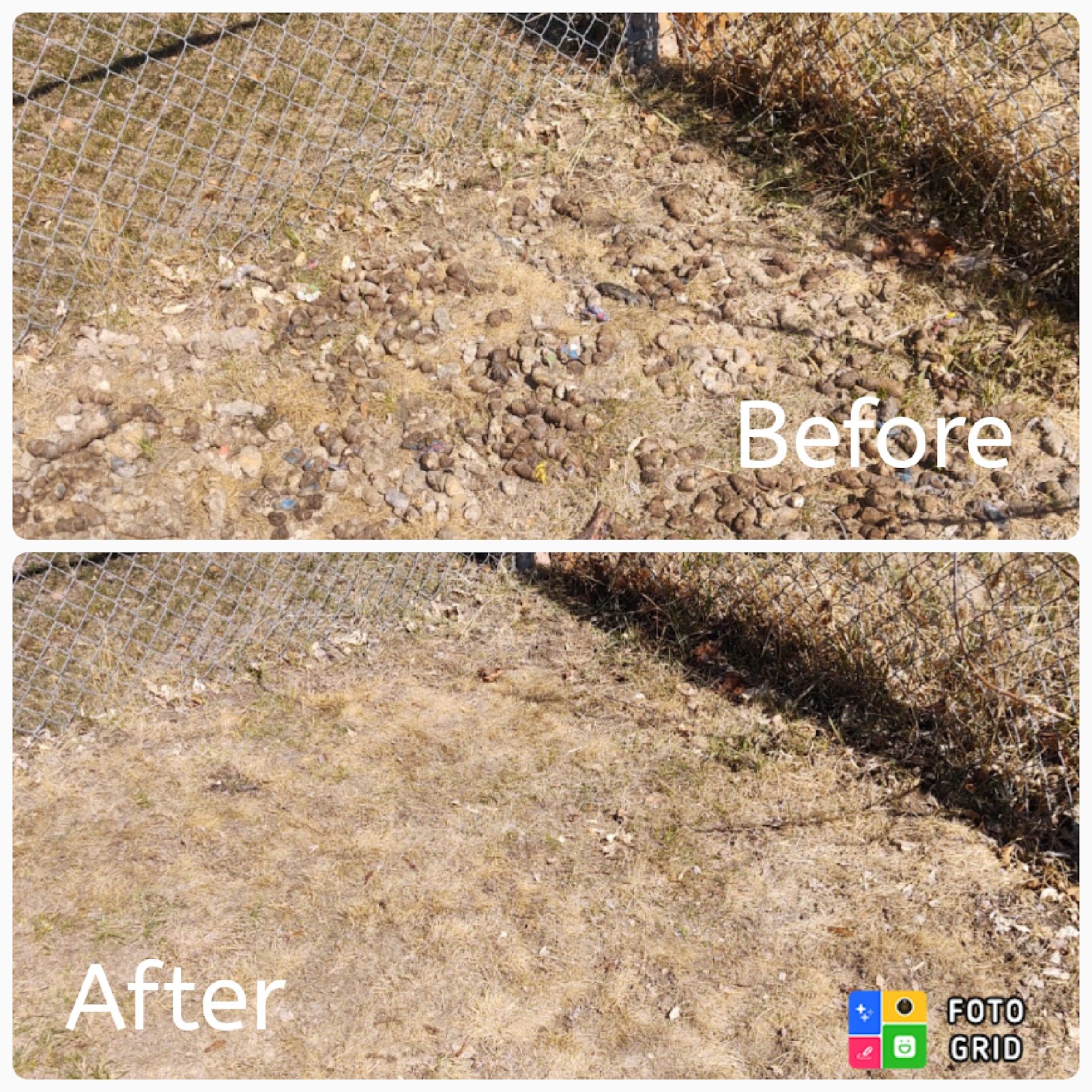 Doody Buddies Pet Waste Removal - Photo 3