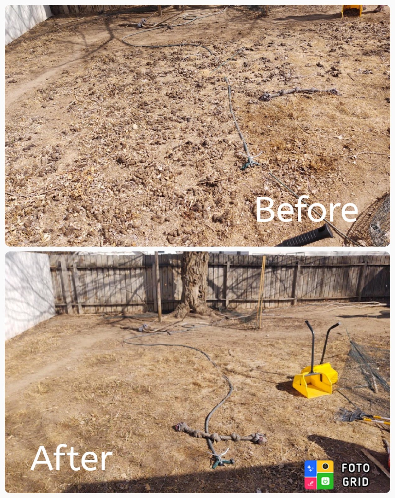 Doody Buddies Pet Waste Removal - Photo 4