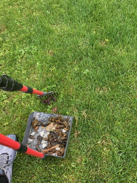 Happy Dog Pet Waste Cleanup