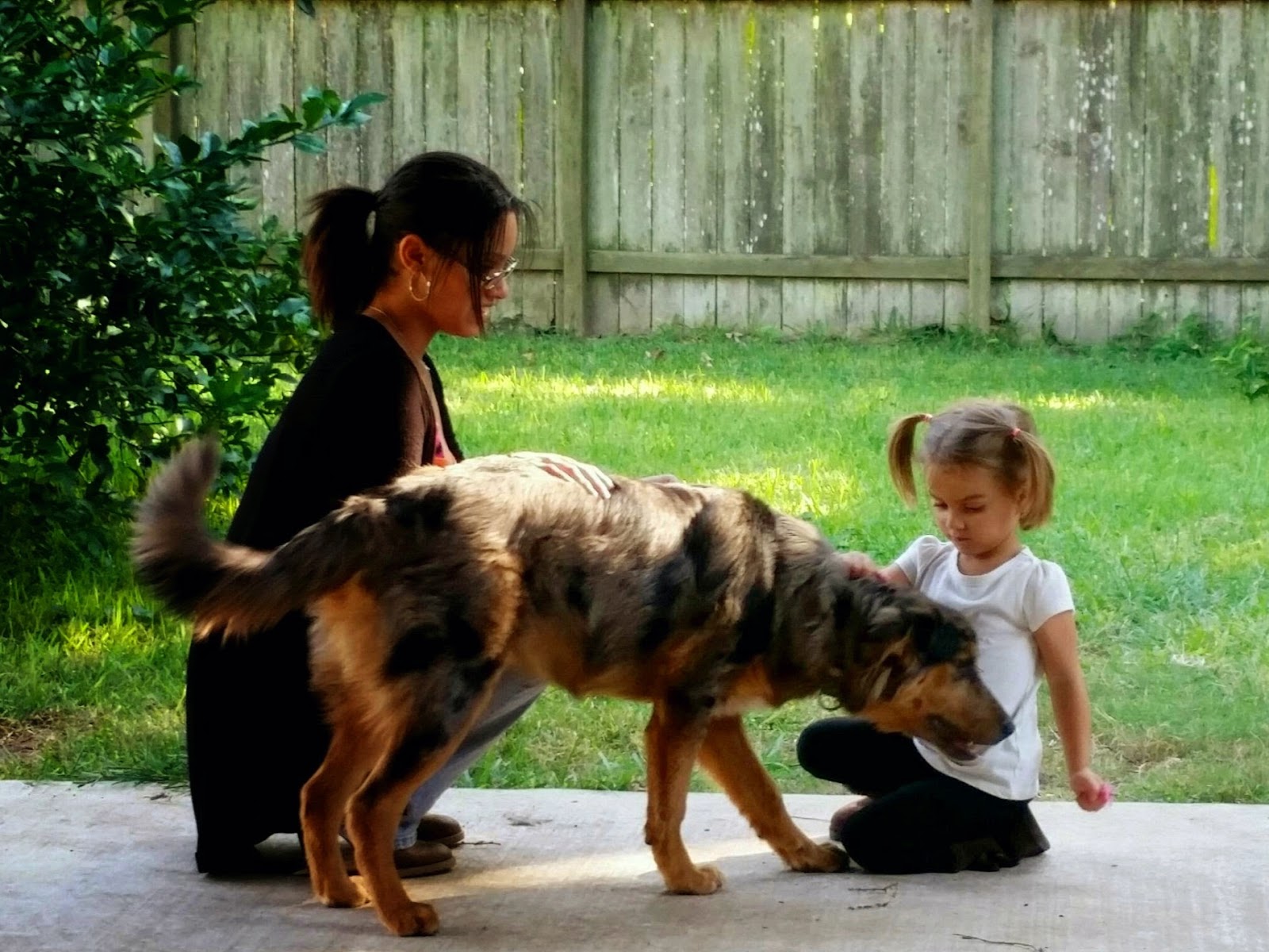 Scoopy Doo (Pet Waste Removal) - Photo 2