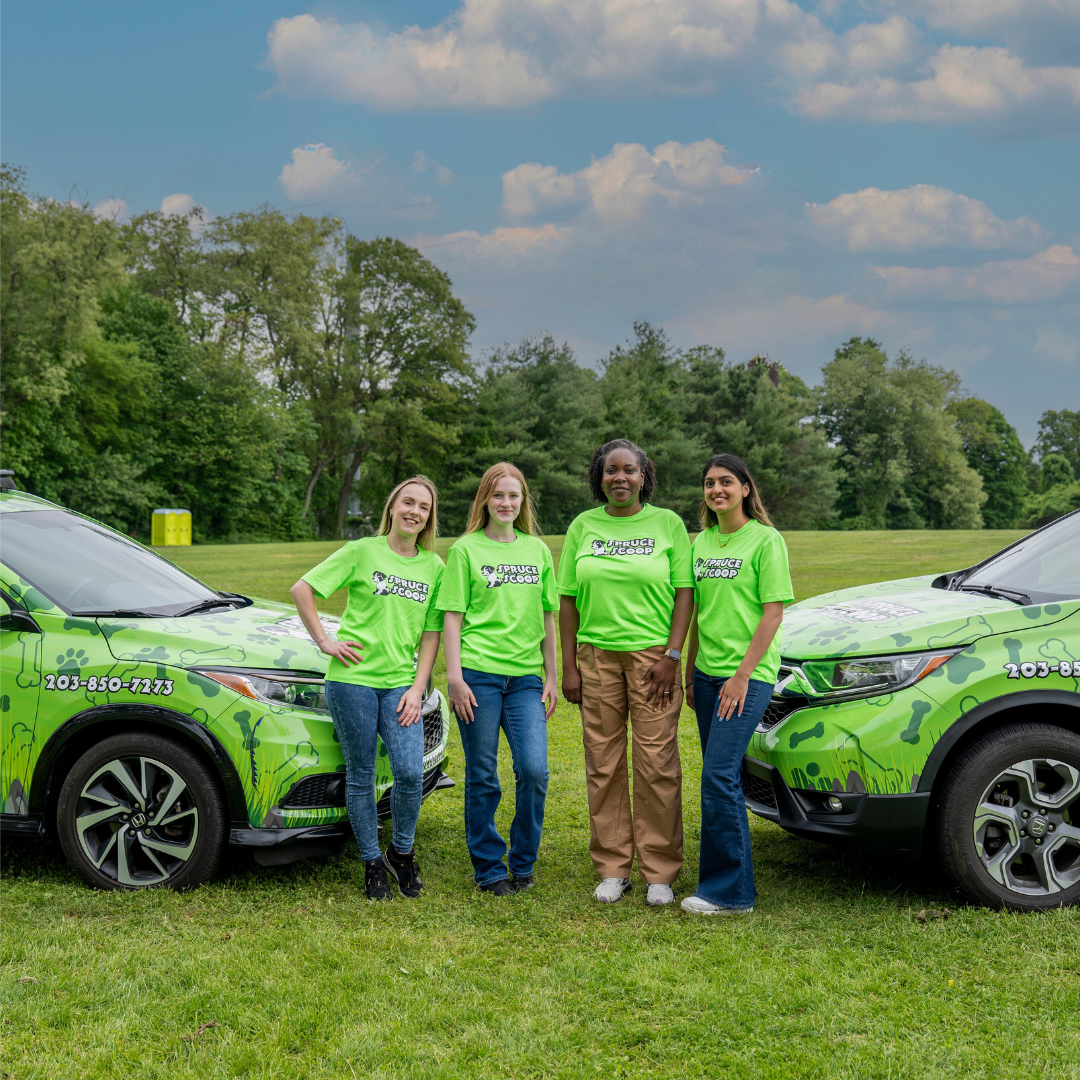 Spruce Scoop Dog Waste Removal