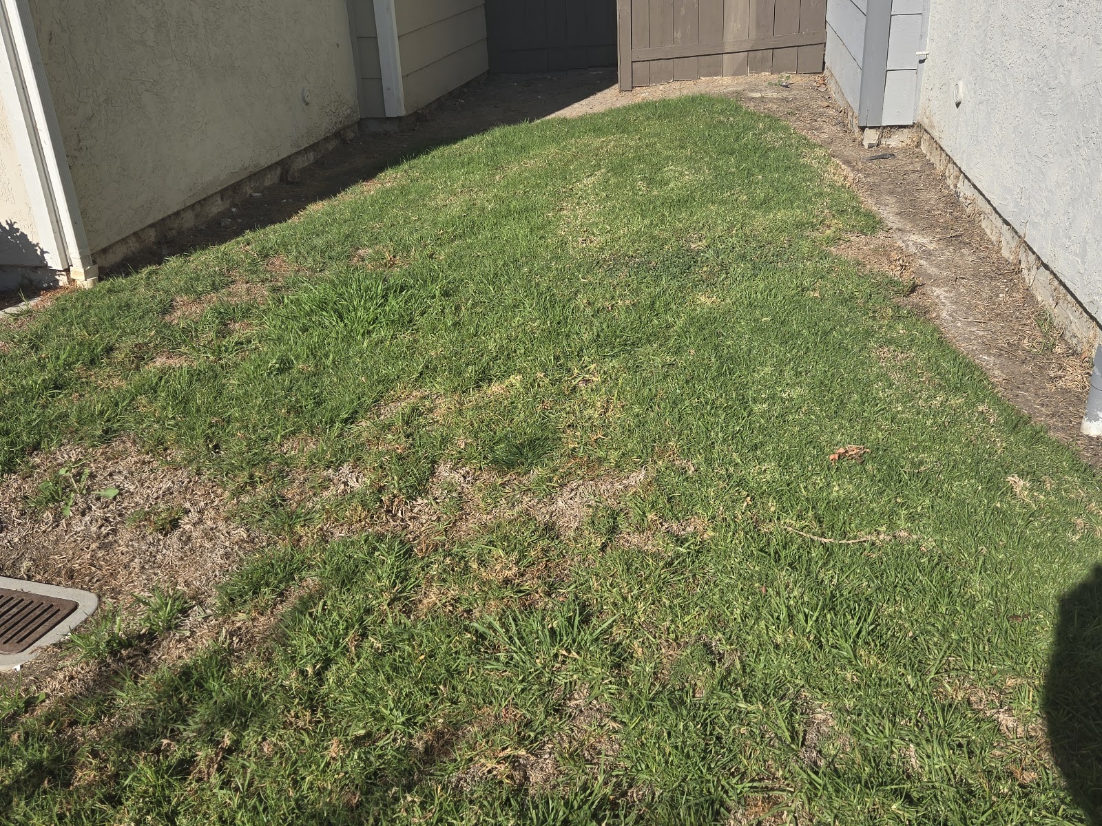 K9 Waste Removal Services