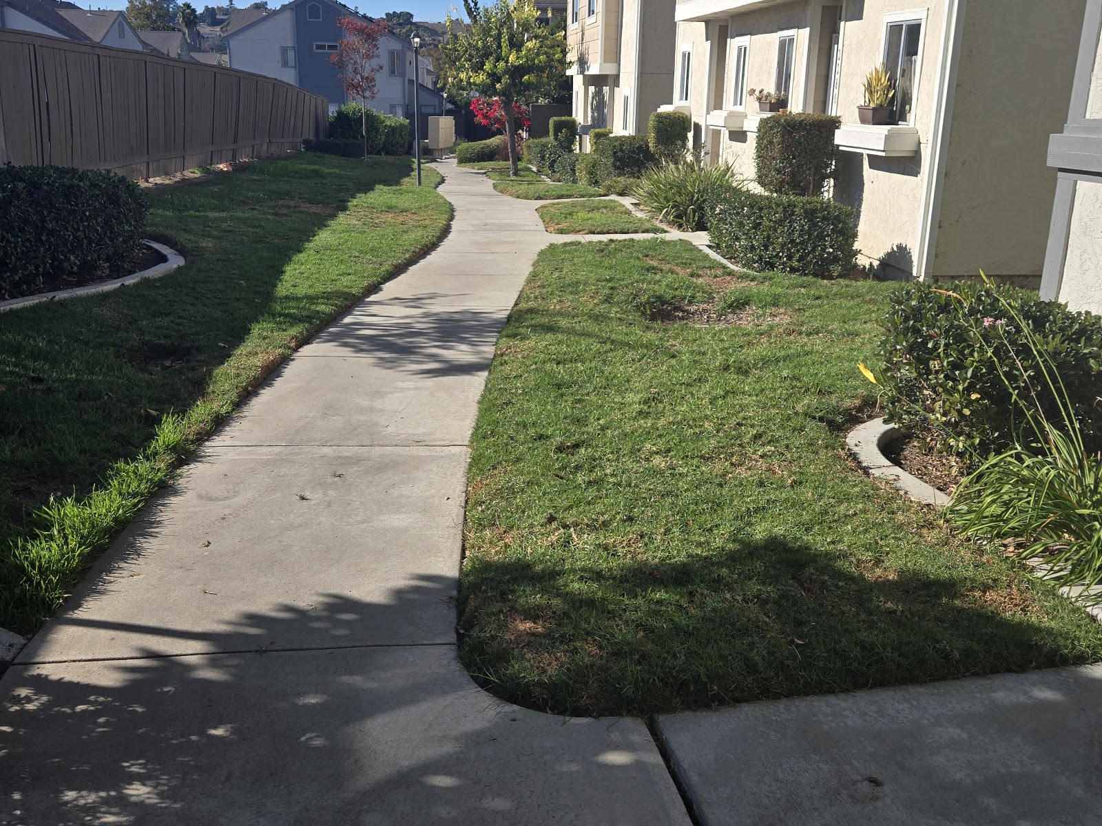 K9 Waste Removal Services - Photo 3