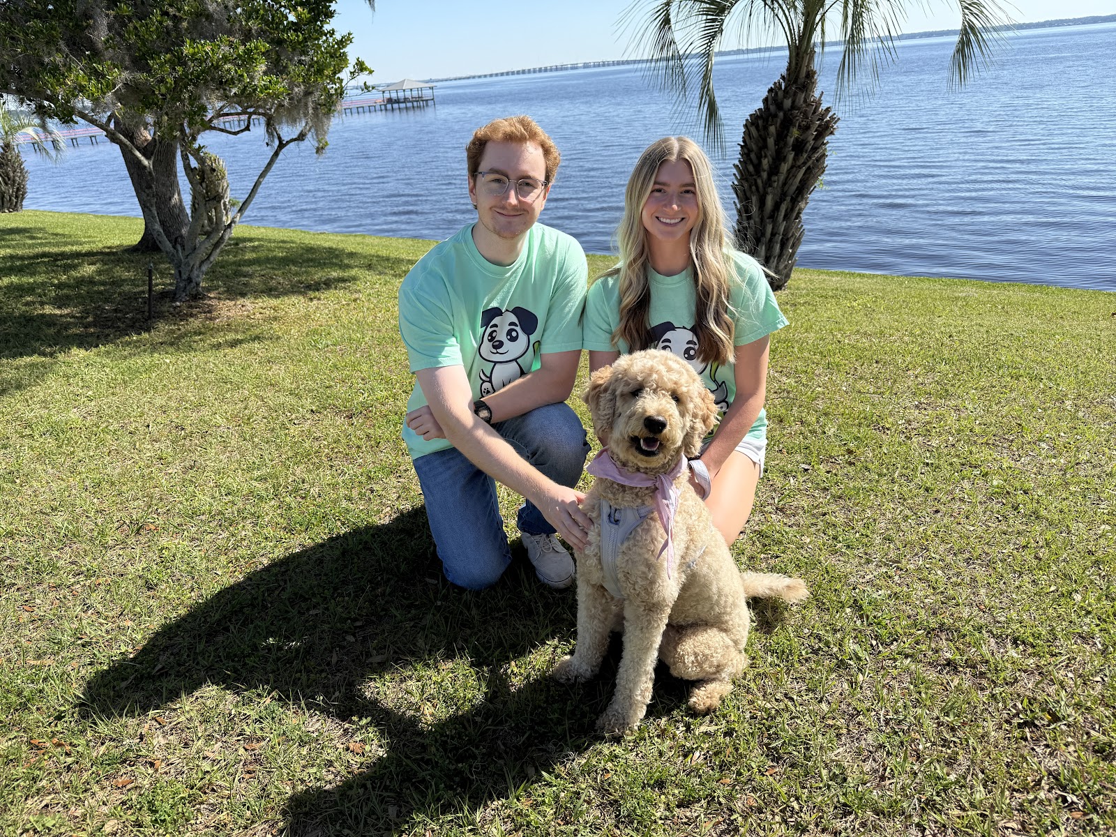 Sweep Scoop - Photo 2