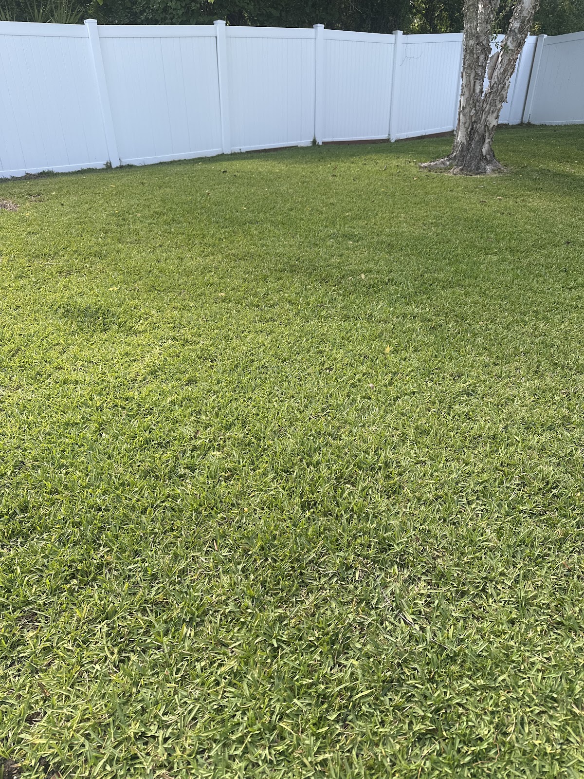 Sweep Scoop - Photo 4