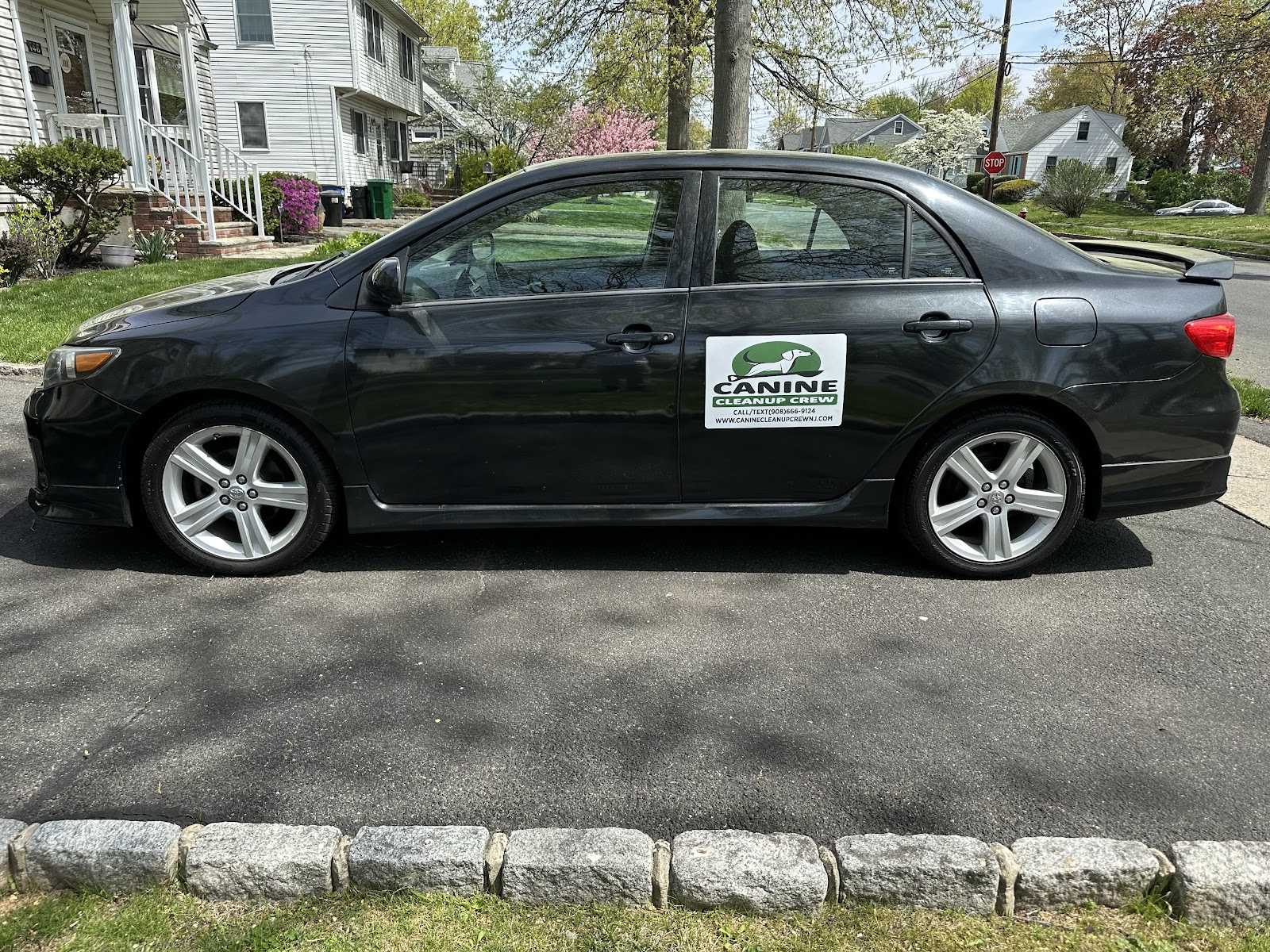 Canine Cleanup Crew - Photo 2