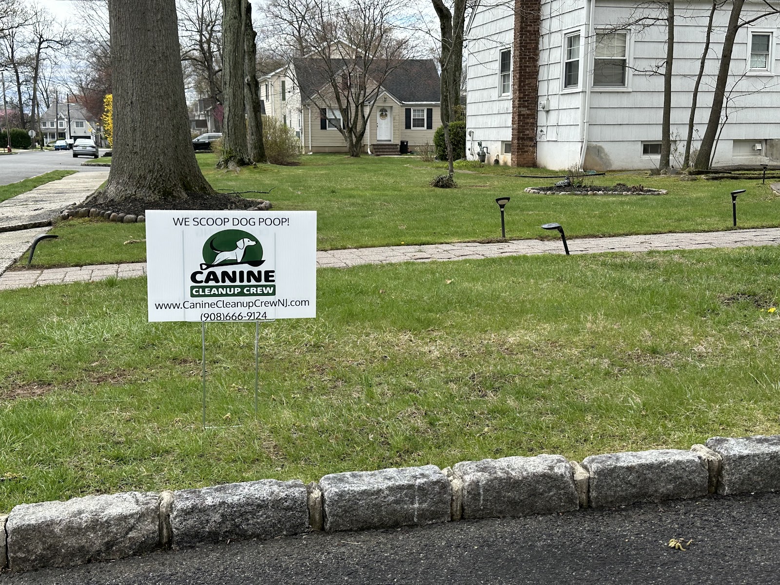 Canine Cleanup Crew - Photo 3