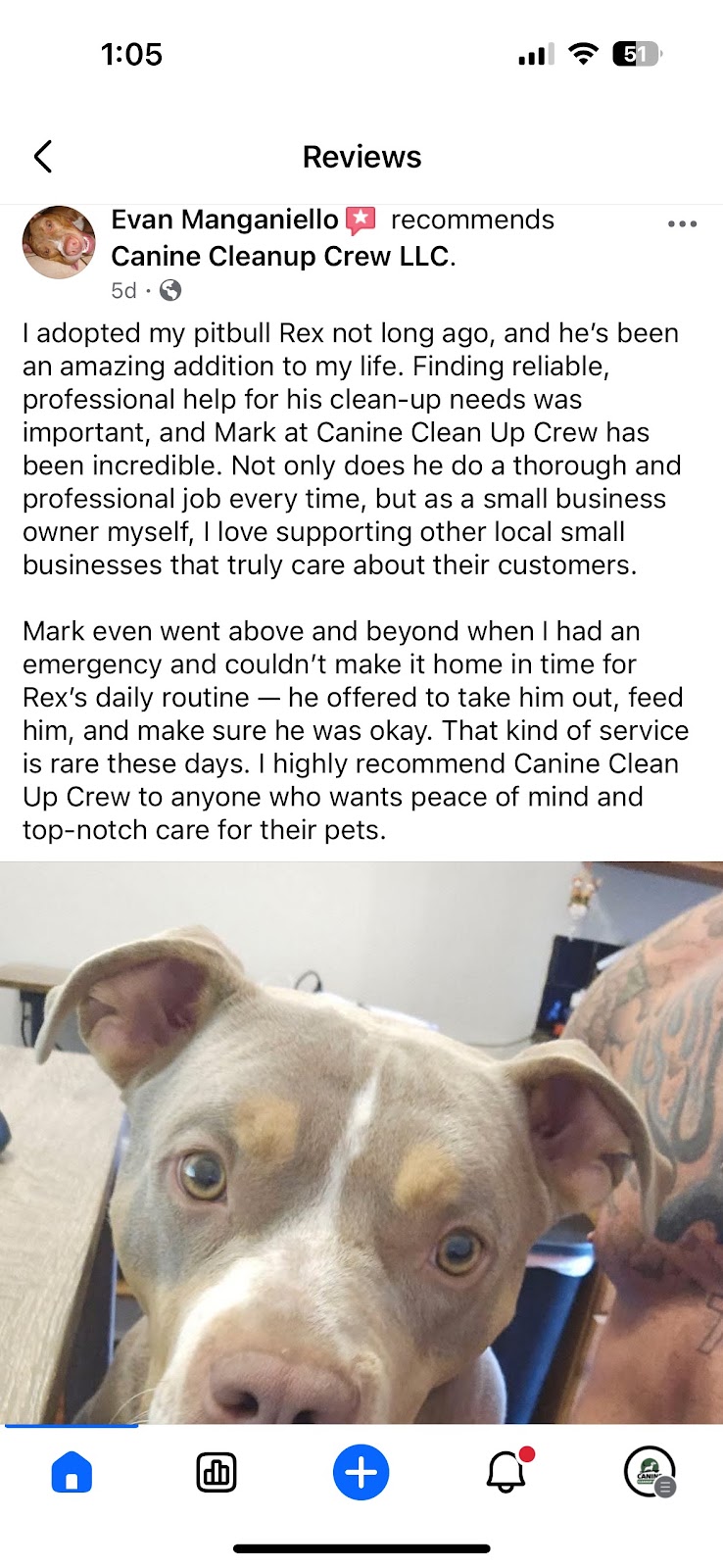 Canine Cleanup Crew - Photo 4