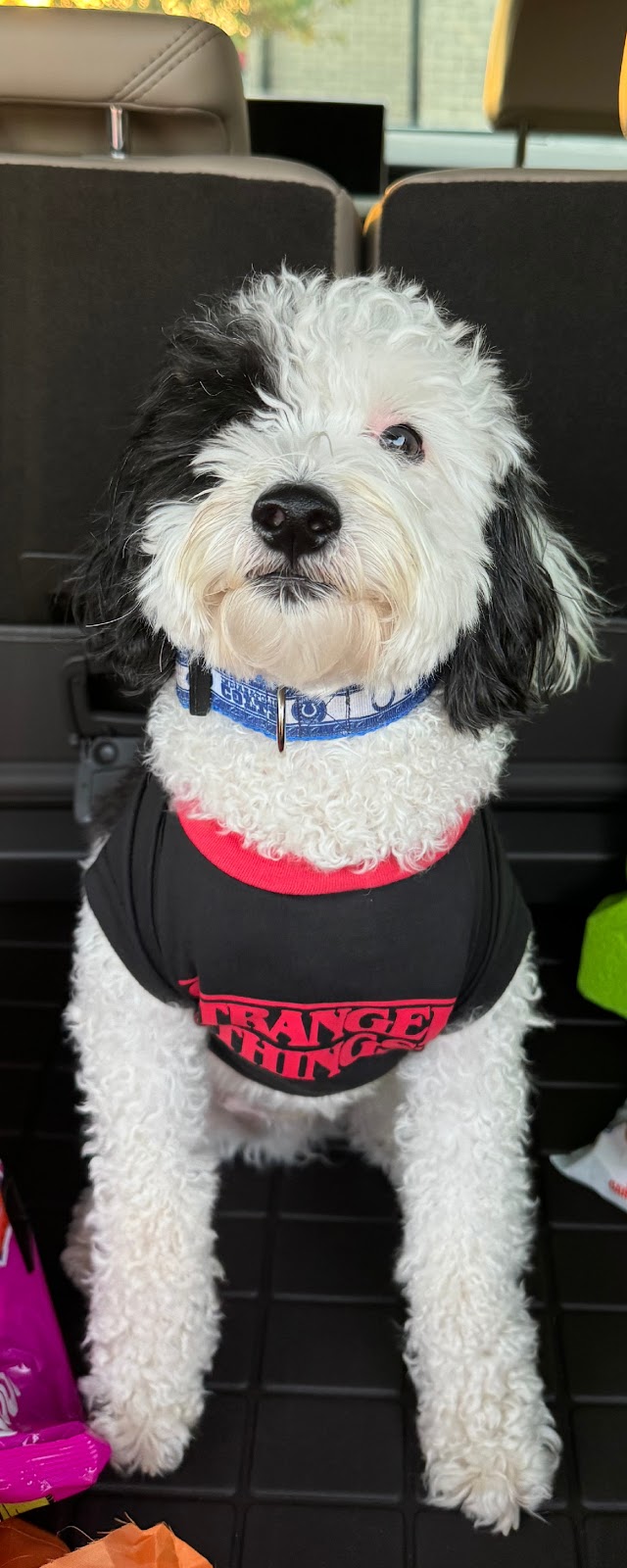 DoodyCalls® of North Indy