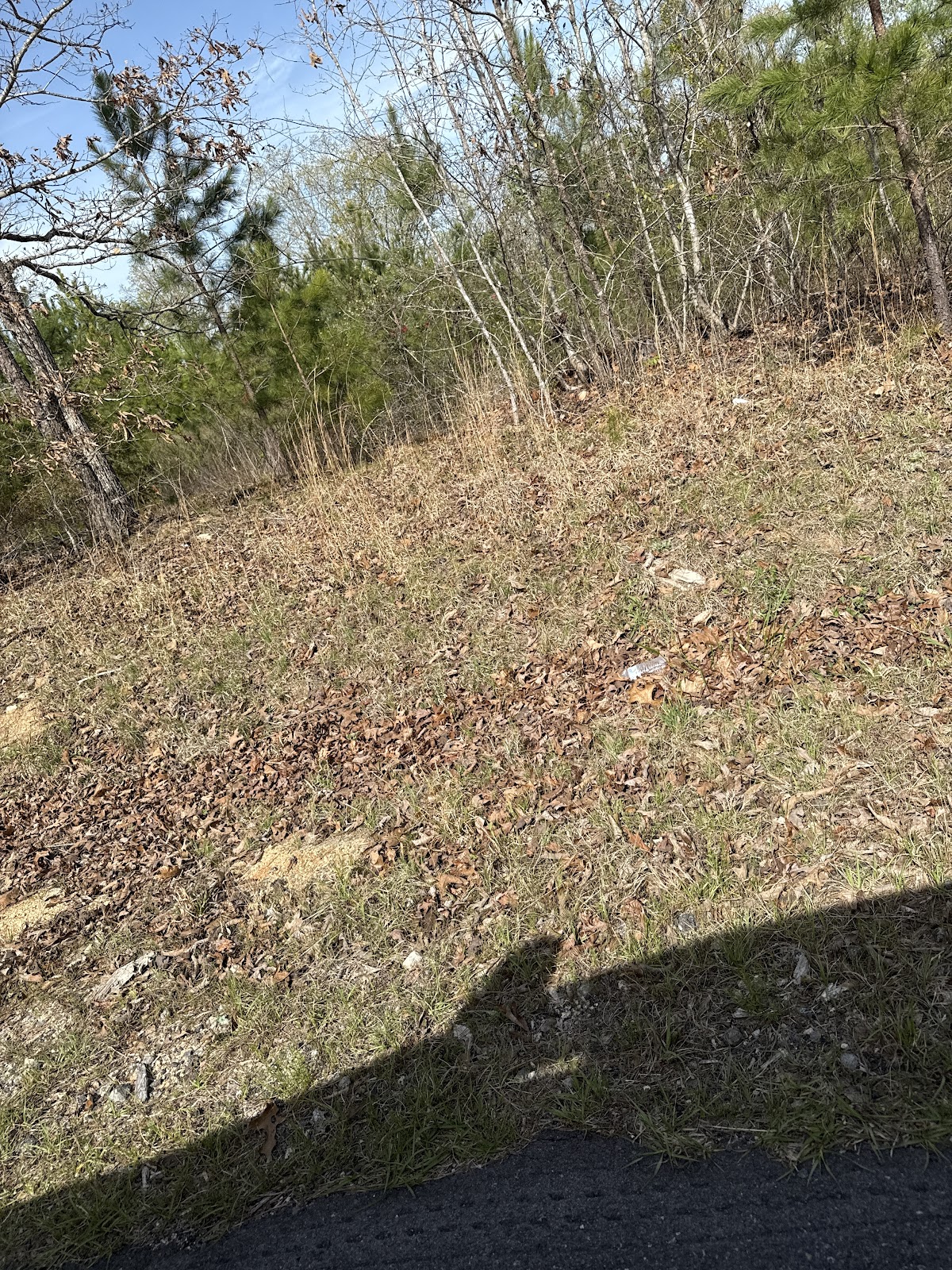 Poop Gone of The Charlotte Area - Photo 2