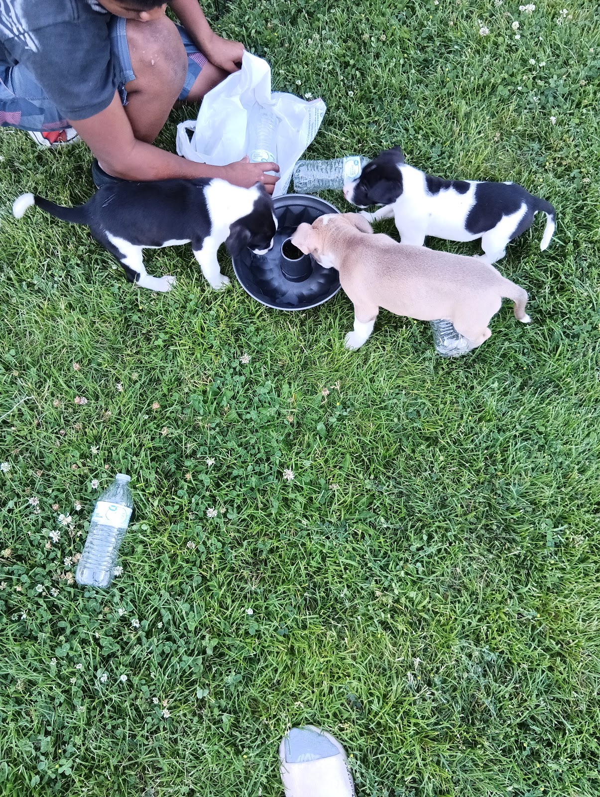 Rite Way Scoops - Photo 3