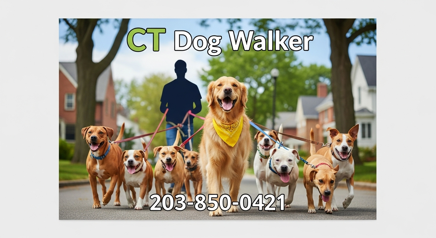 K9 Walk and Waste - Photo 4