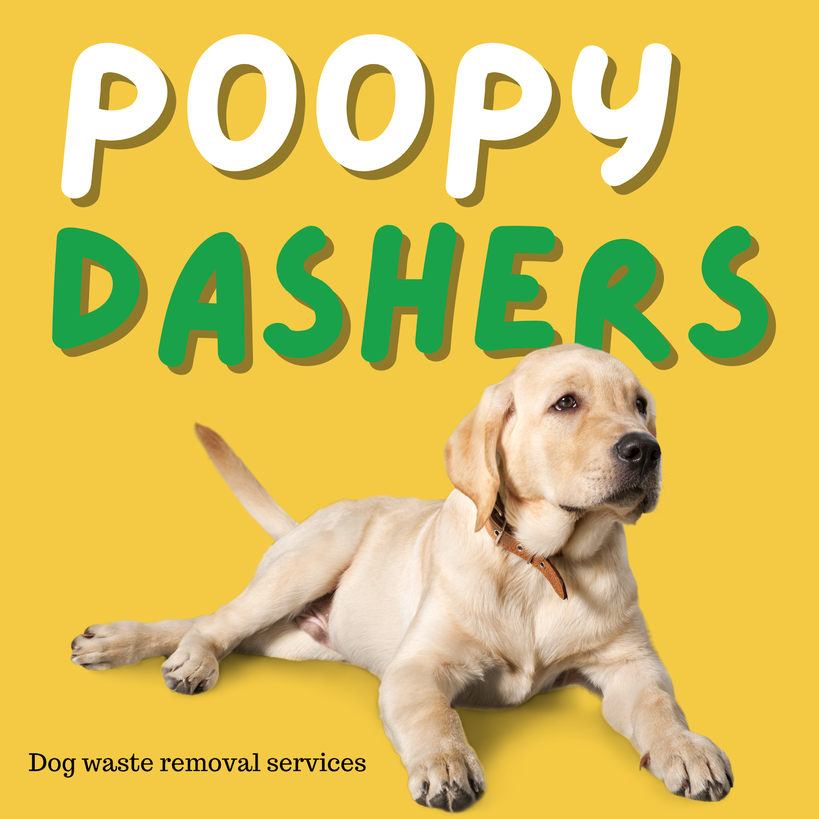 Poopy Dash - Photo 4