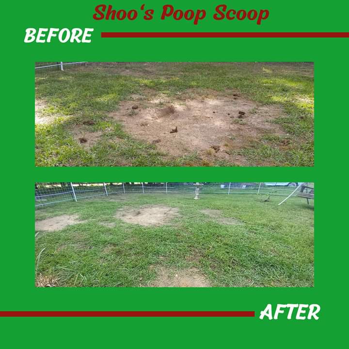 Shoo's Poop Scoop - Photo 2