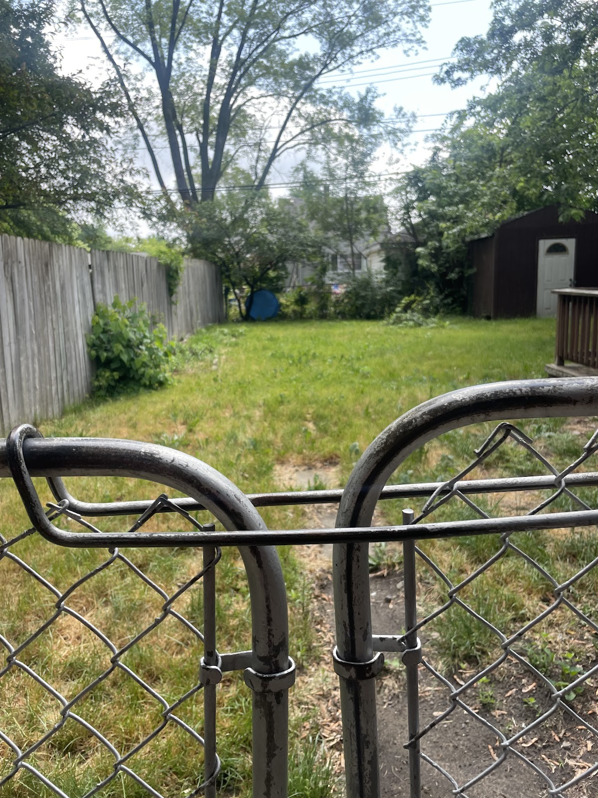 Michigan Scoopers - Photo 2