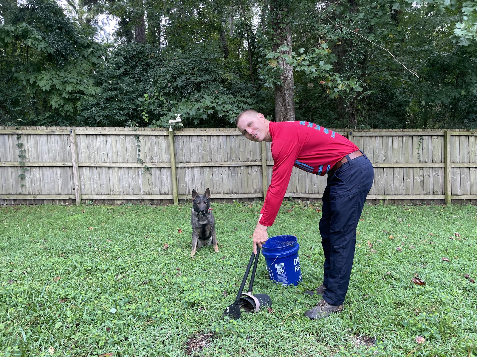 Dog Poop Removal by Austin