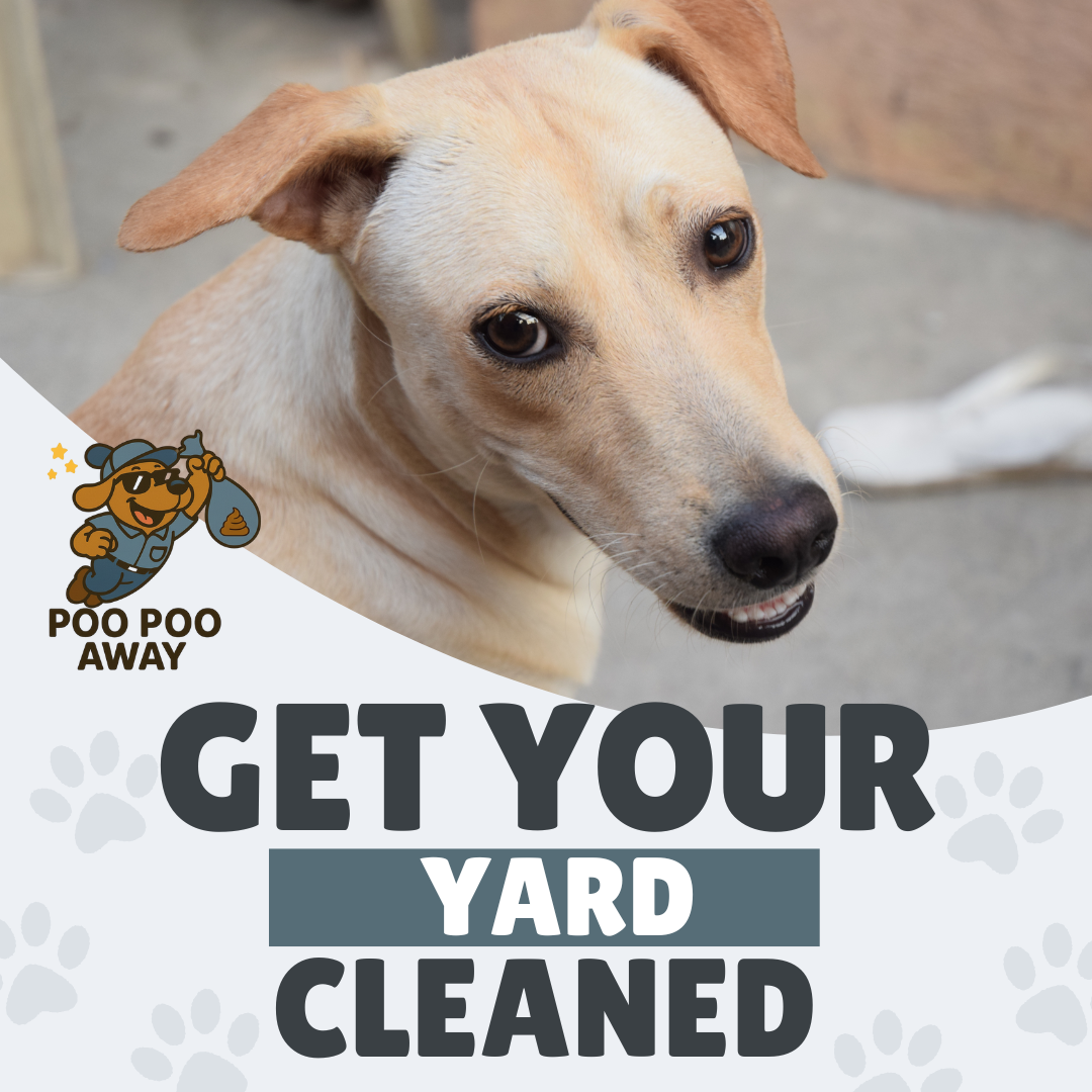 Poo Poo Away - Photo 2