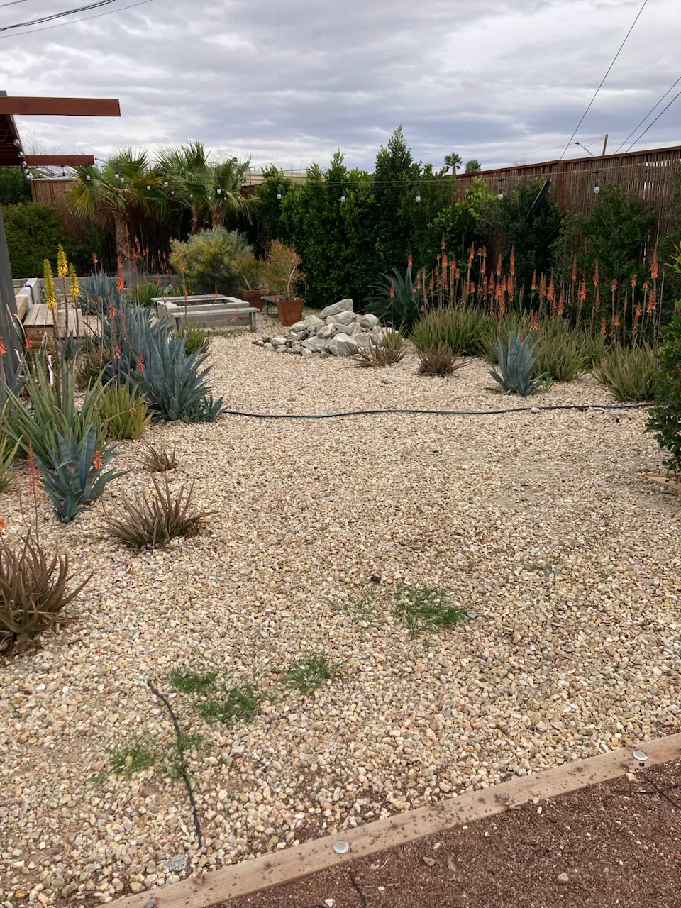 Bombs Away! - Palm Springs