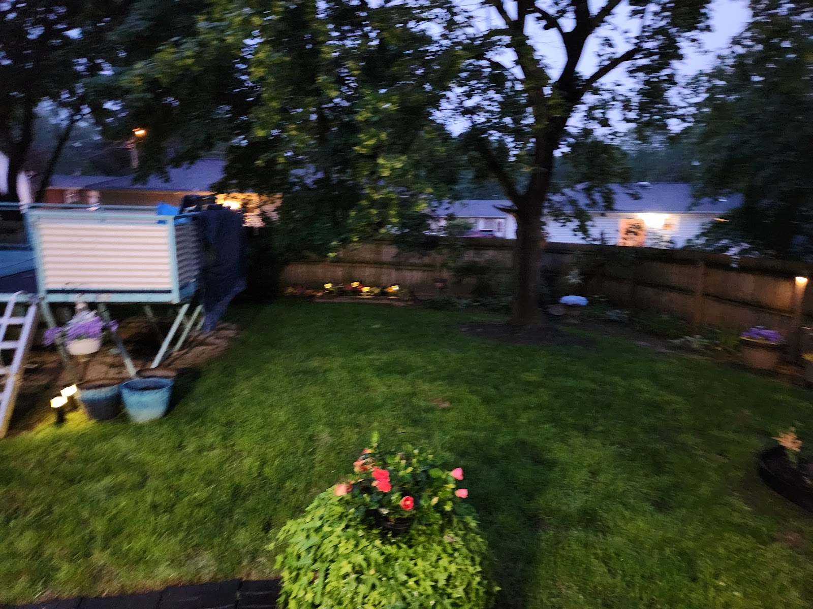 We Scoop Poop - Photo 2