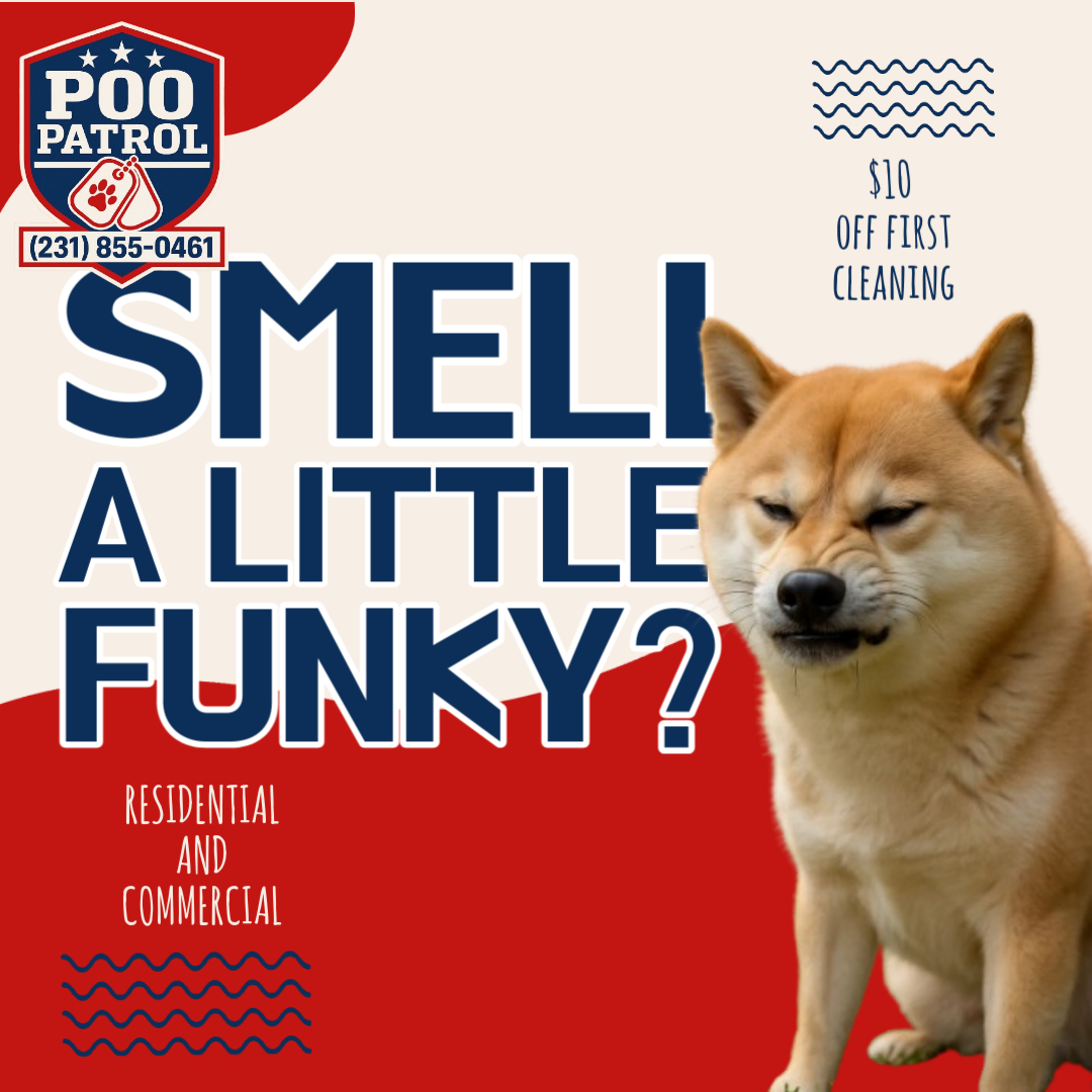 Poo Patrol - Photo 3