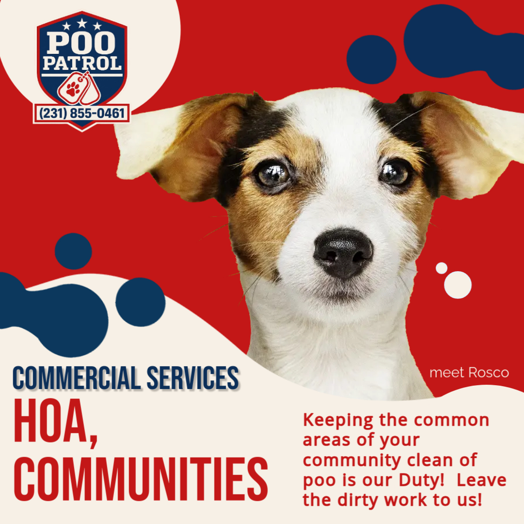 Poo Patrol - Photo 4