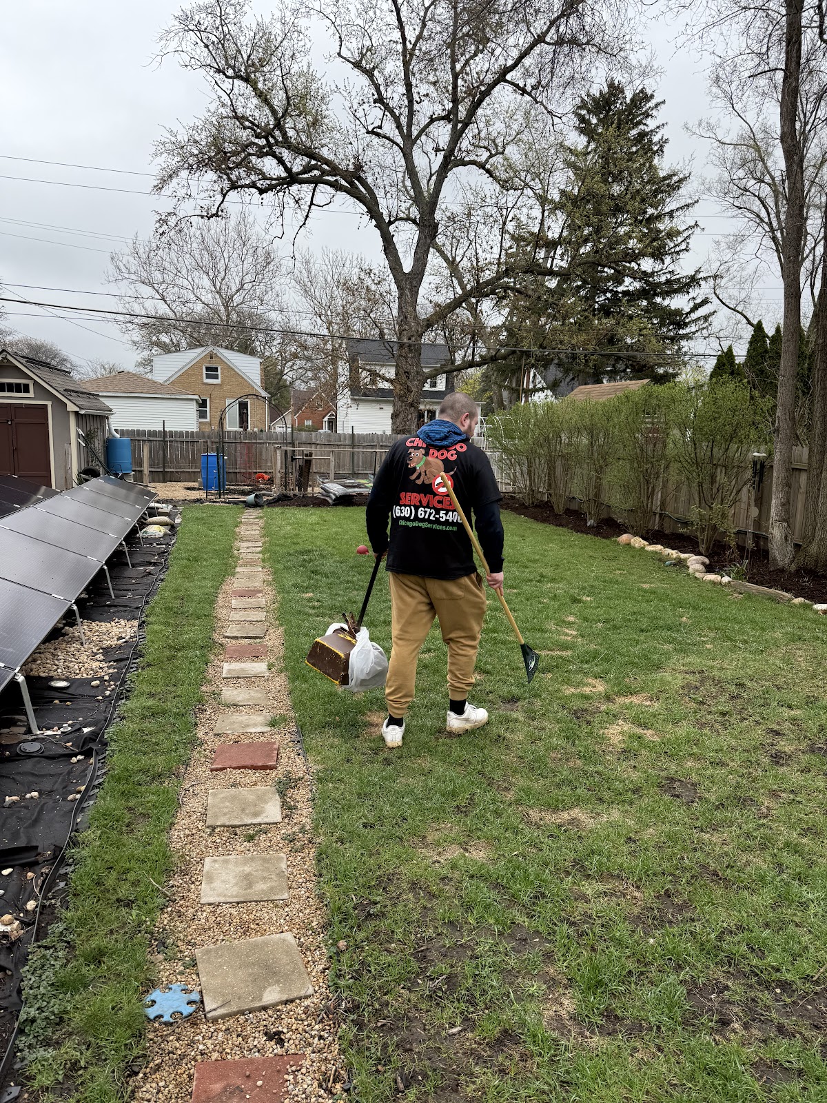 Chicago Dog Waste Removal Services (Dog Pooper Scooper and Dog Poop Cleanup )