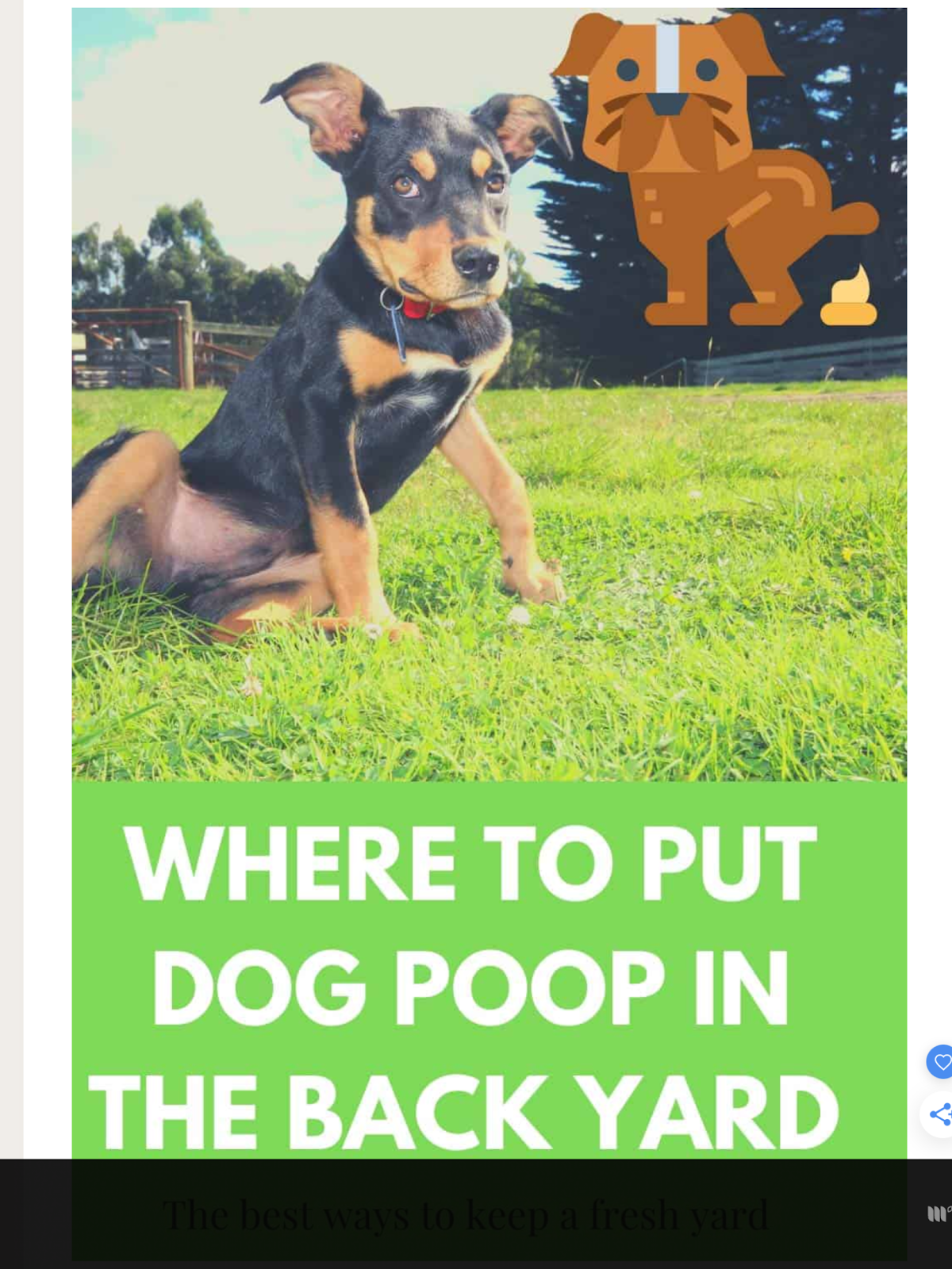 Poopsie Daisy LLC - Photo 4